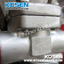 Stainless Steel Piston Check Valve 800lb